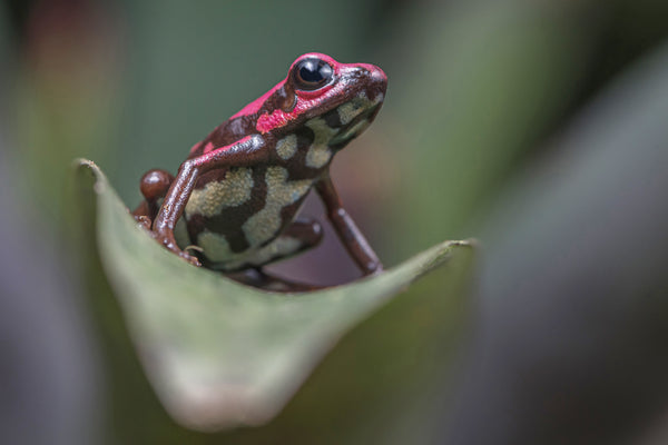 2025 Trip to Colombia