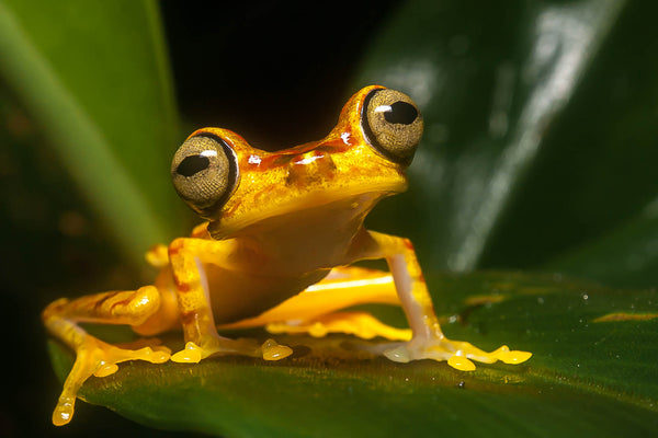 2025 Trip to Colombia